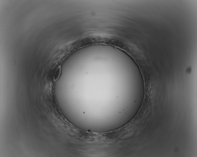 X0000116771061200912241159