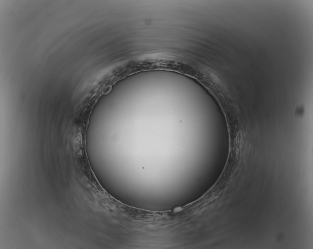 X0000116771062200912241159