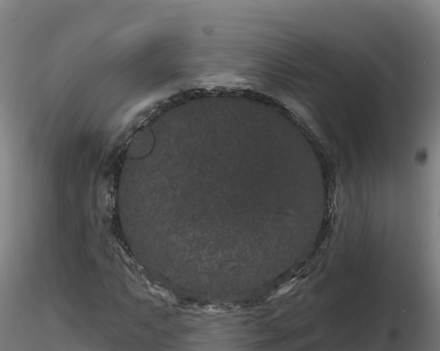 X0000116771063200912241159