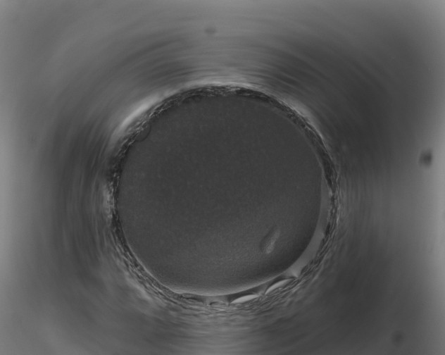 X0000116771064200912241159