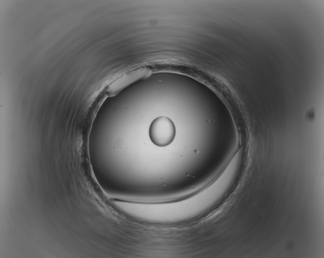 X0000116771065200912241159