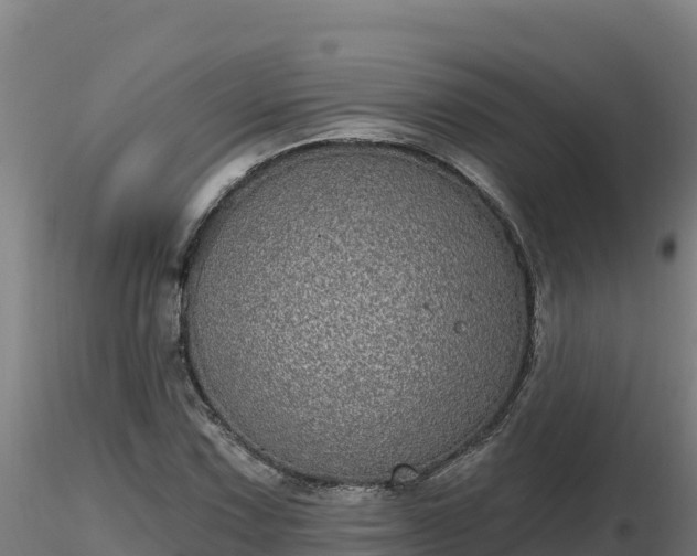 X0000116771067200912241158