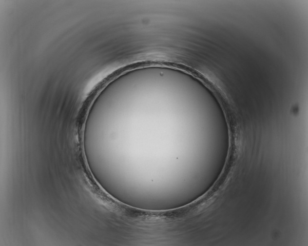 X0000116771070200912241158