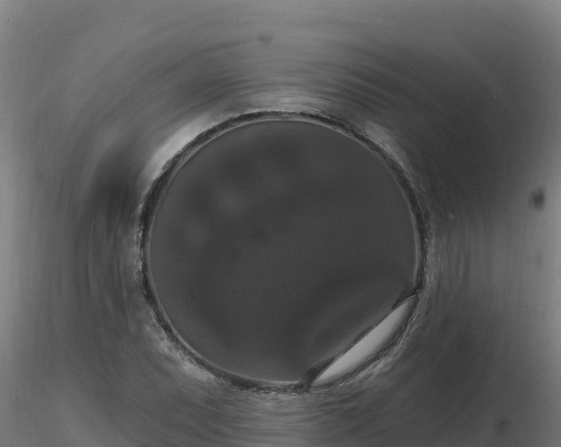 X0000116771071200912241158