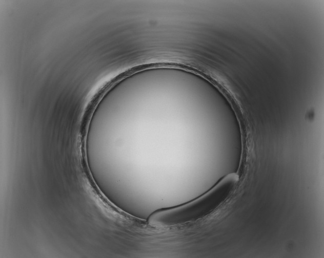 X0000116771072200912241158