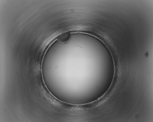 X0000116771073200912241158