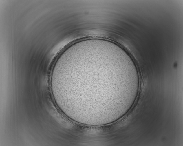X0000116771074200912241158