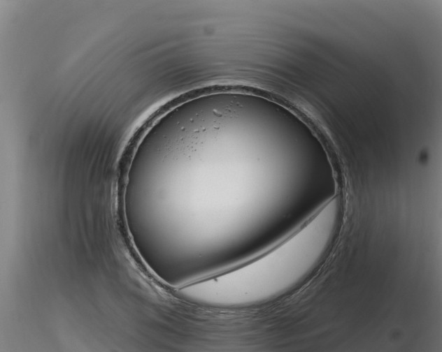 X0000116771076200912241158