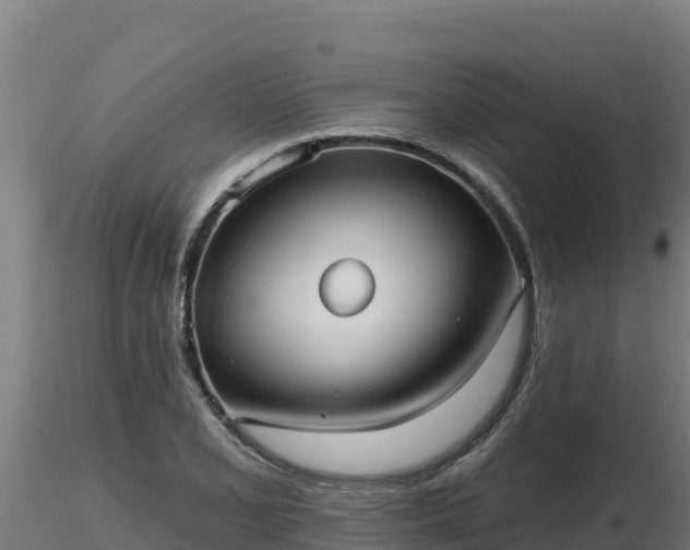 X0000116771077200912241158