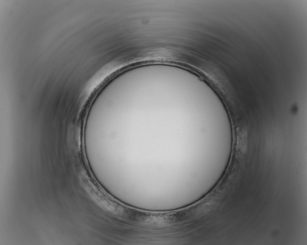 X0000116771078200912241158