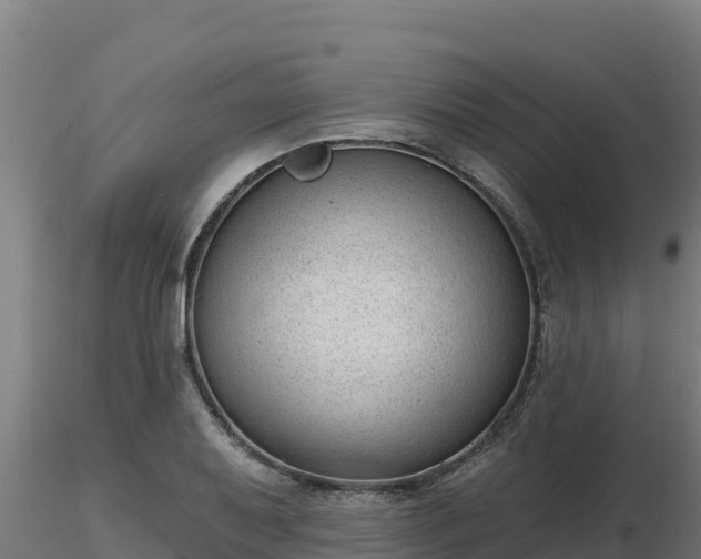 X0000116771079200912241158