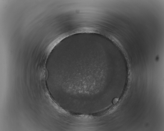 X0000116771081200912241158