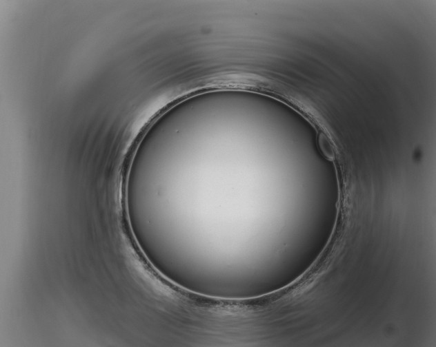 X0000116771083200912241158