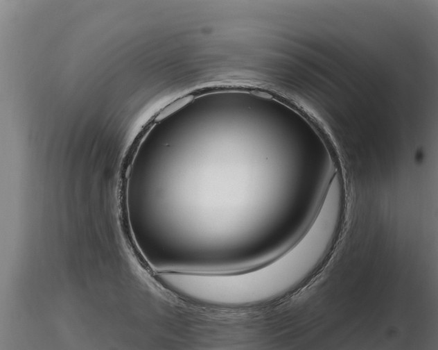 X0000116771085200912241158