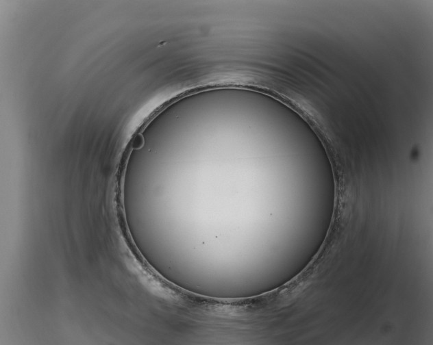 X0000116771086200912241158