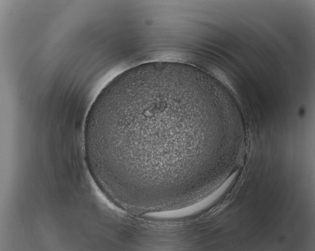 X0000116771087200912241158