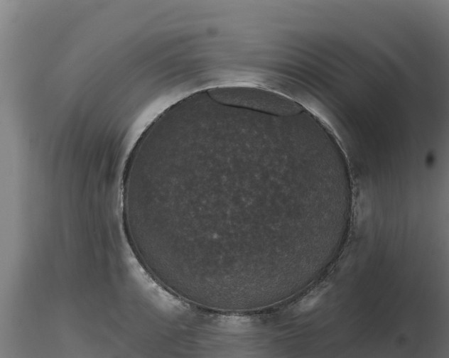 X0000116771088200912241158