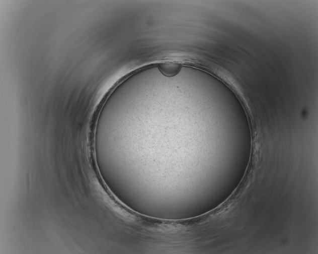 X0000116771091200912241158