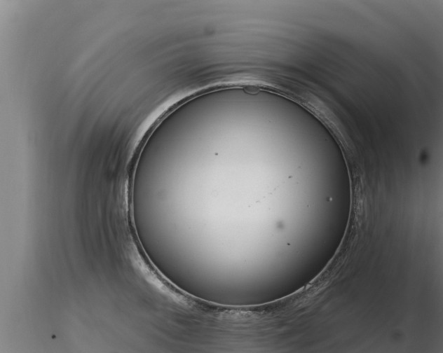 X0000116771092200912241158