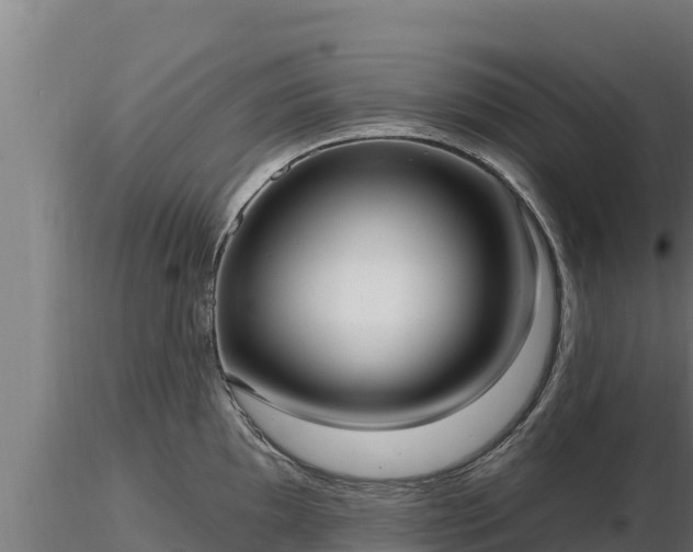 X0000116771097200912241158