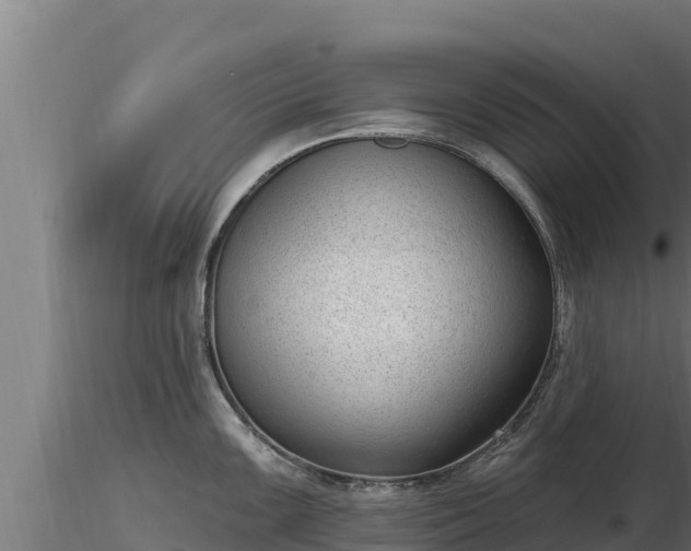 X0000116771099200912241158