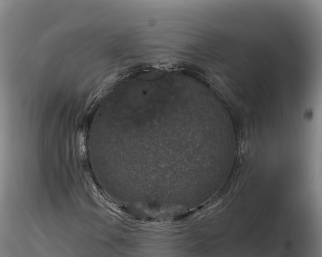 X0000116771106200912241157