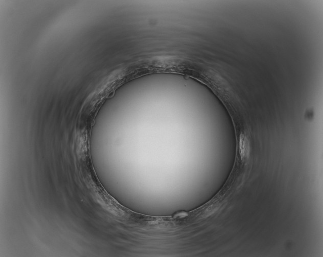 X0000116771107200912241157