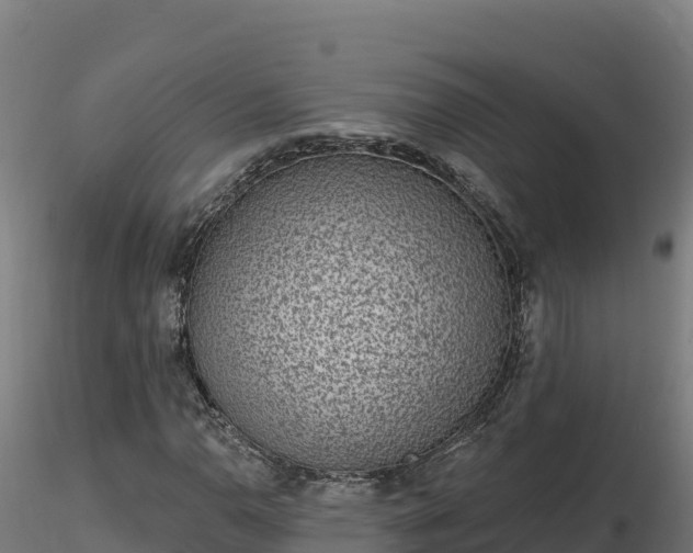 X0000116771110200912241157