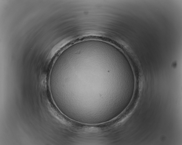 X0000116771113200912241157