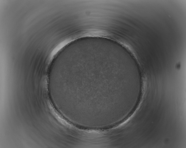 X0000116771114200912241157
