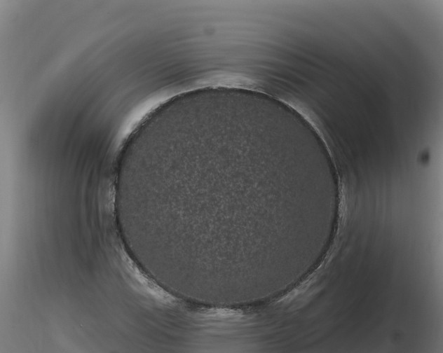 X0000116771115200912241157