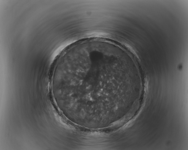 X0000116771117200912241157