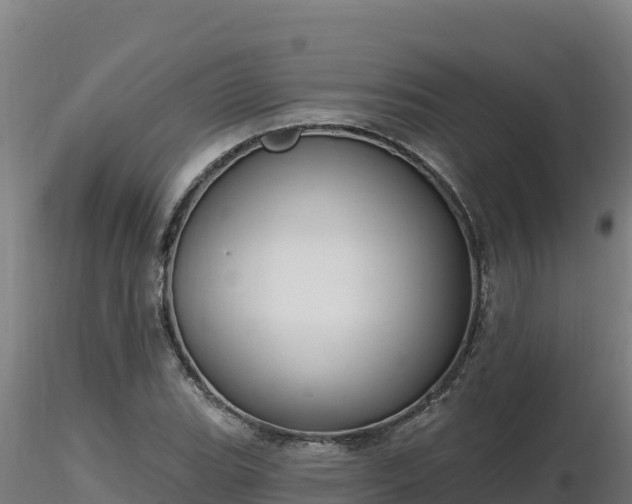 X0000116771119200912241158