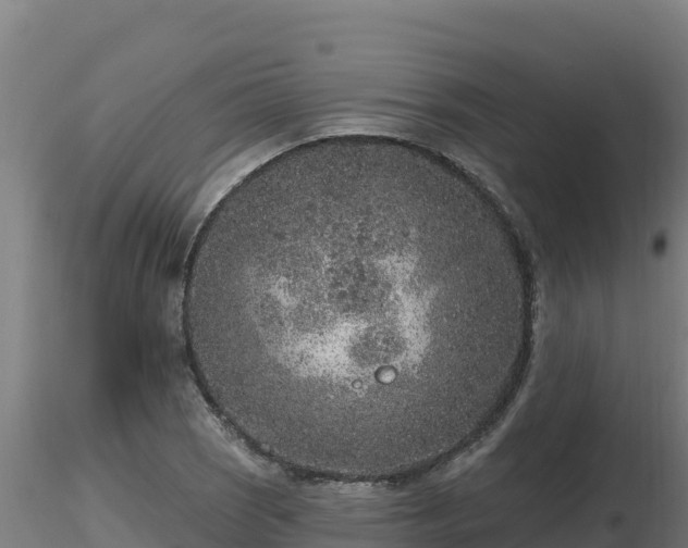 X0000116771121200912241158
