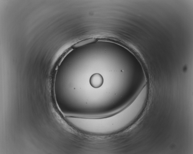 X0000116771122200912241158