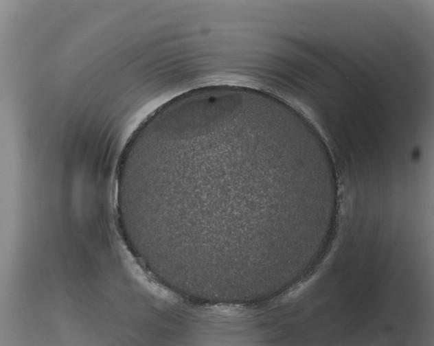 X0000116771125200912241158