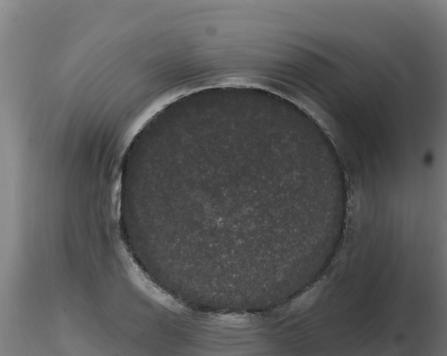 X0000116771126200912241158