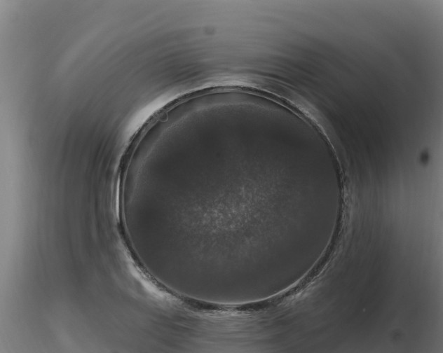 X0000116771127200912241158