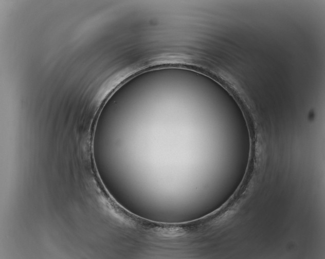 X0000116771129200912241158