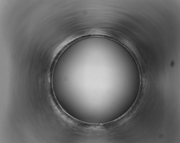 X0000116771133200912241158
