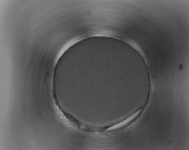 X0000116771138200912241158
