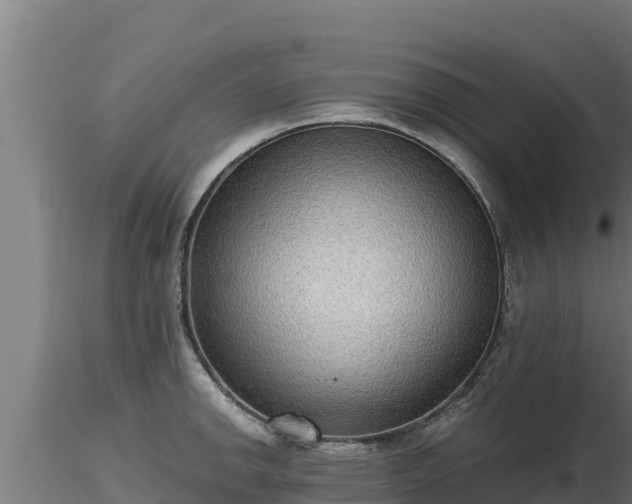 X0000116771142200912241158
