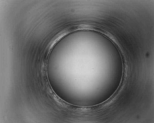 X0000116771145200912241158