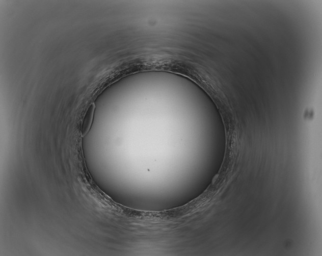 X0000116771153200912241157