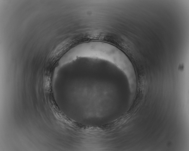 X0000116771154200912241157
