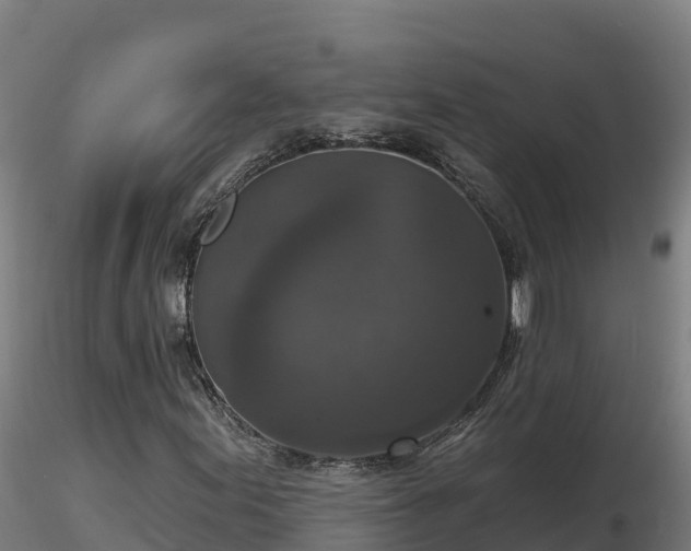 X0000116771155200912241157