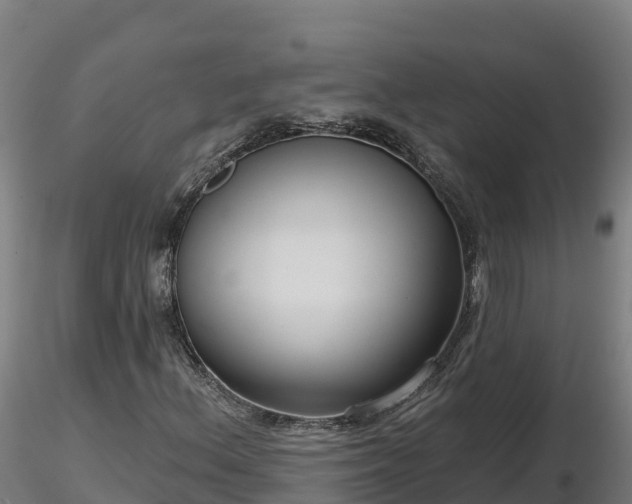 X0000116771156200912241157