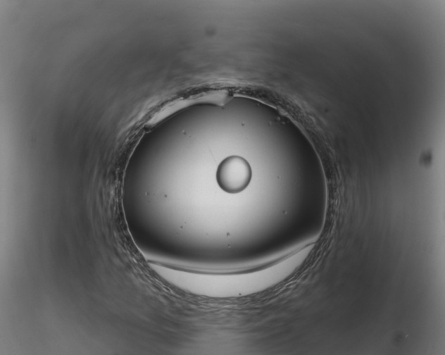 X0000116771157200912241157