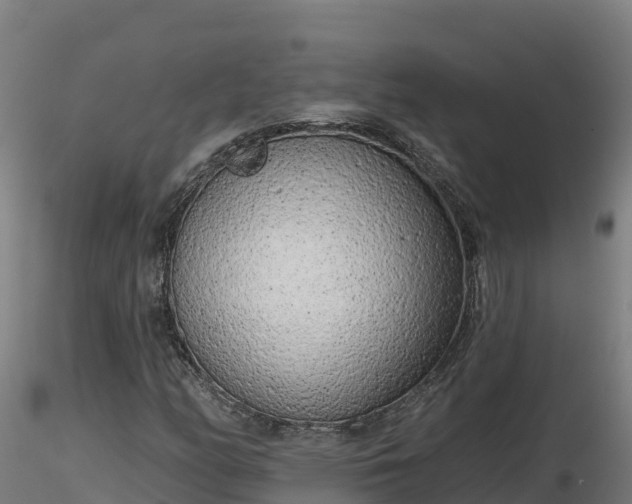 X0000116771158200912241157
