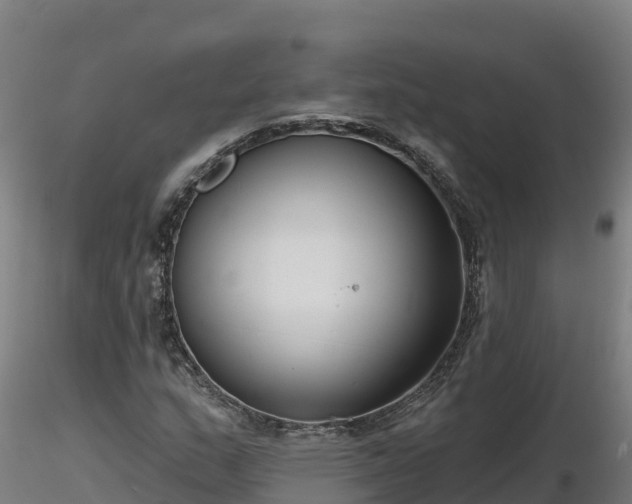 X0000116771159200912241157